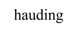 HAUDING trademark