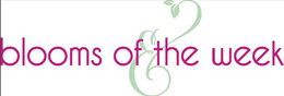 BLOOMS OF THE WEEK trademark