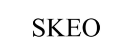 SKEO trademark