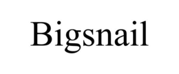 BIGSNAIL trademark