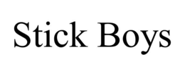 STICK BOYS trademark