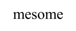 MESOME trademark