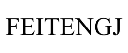 FEITENGJ trademark