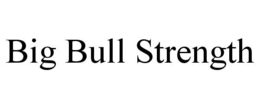 BIG BULL STRENGTH trademark