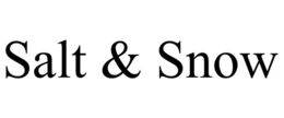 SALT & SNOW trademark