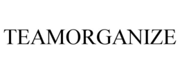 TEAMORGANIZE trademark