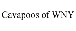 CAVAPOOS OF WNY trademark