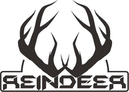 REINDEER trademark