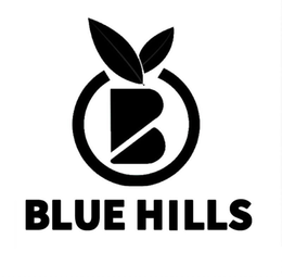 B BLUE HILLS trademark