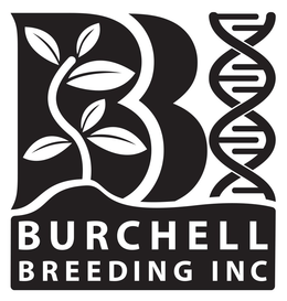 BBI BURCHELL BREEDING INC trademark