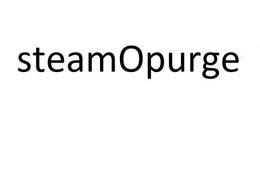 STEAM OPURGE trademark