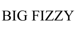BIG FIZZY trademark