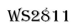 WS2811 trademark