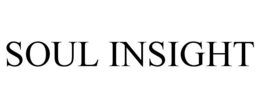 SOUL INSIGHT trademark