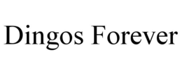 DINGOS FOREVER trademark