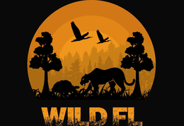 WILD FL trademark
