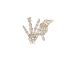 WA trademark