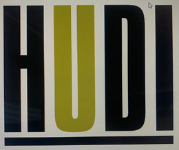 HUDI trademark