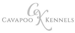 CAVAPOO CK KENNELS trademark