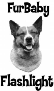 FURBABY FLASHLIGHT trademark