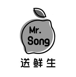 MR. SONG trademark
