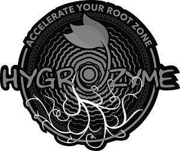 HYGROZYME ACCELERATE YOUR ROOT ZONE trademark