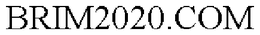 BRIM2020.COM trademark