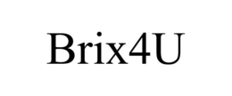 BRIX4U trademark