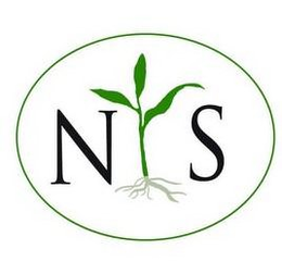 N S trademark