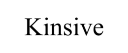 KINSIVE trademark