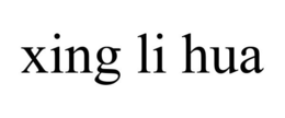 XING LI HUA trademark
