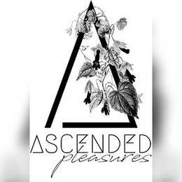 ASCENDED PLEASURES trademark