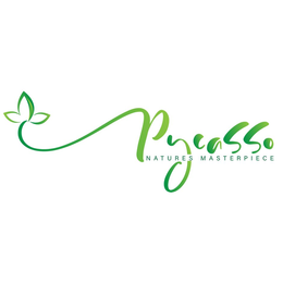 PYCASSO NATURES MASTERPIECE trademark