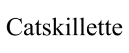 CATSKILLETTE trademark