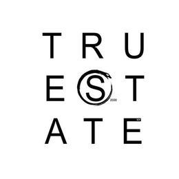 TRUE STATE 2020 NY trademark
