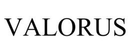VALORUS trademark