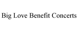 BIG LOVE BENEFIT CONCERTS trademark