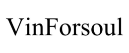 VINFORSOUL trademark