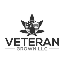 VETERAN GROWN LLC trademark