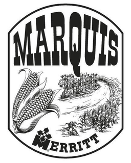 MARQUIS MERRITT trademark