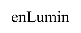 ENLUMIN trademark