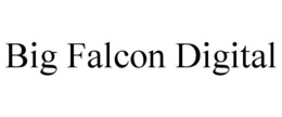 BIG FALCON DIGITAL trademark