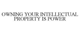 OWNING YOUR INTELLECTUAL PROPERTY IS POWER trademark