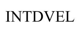 INTDVEL trademark