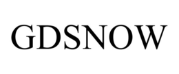 GDSNOW trademark