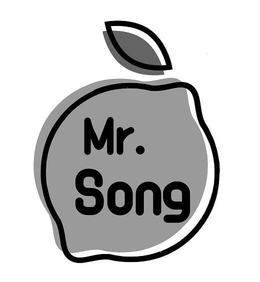 MR. SONG trademark