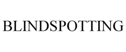 BLINDSPOTTING trademark