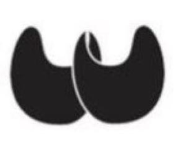 W trademark