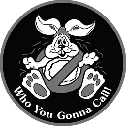 WHO YOU GONNA CALL! trademark