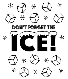 DON'T FORGET THE ICE! trademark